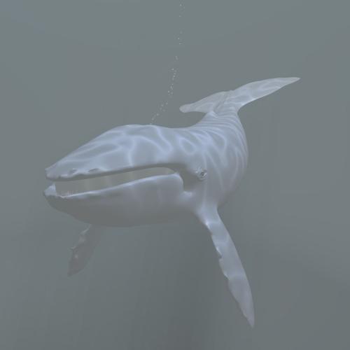 Whale