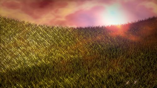 Grass by gholm