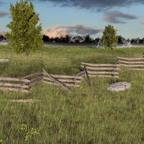 Realistic Grass Field