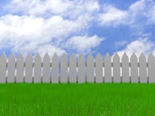 Picket Fence and Grass Scene