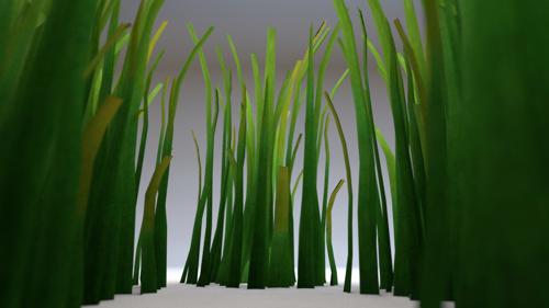 Grass Cycles