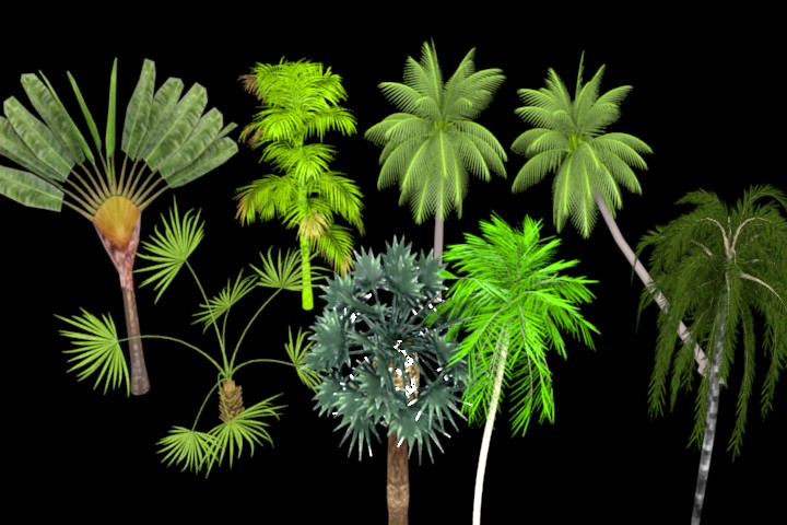 Tropical Trees