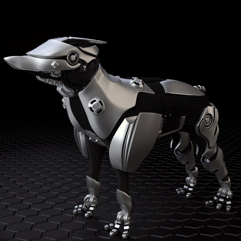 Dog Scout
