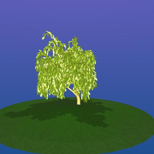 leaves_growing.blend