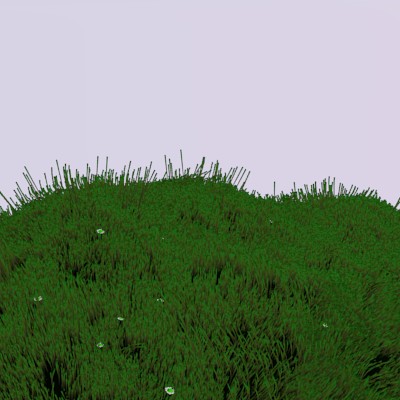 Grassy hill 1.2