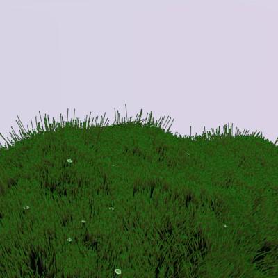 Grassy hill 1.2