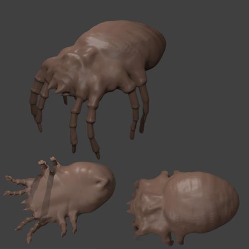 Dustmite