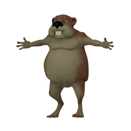 castor