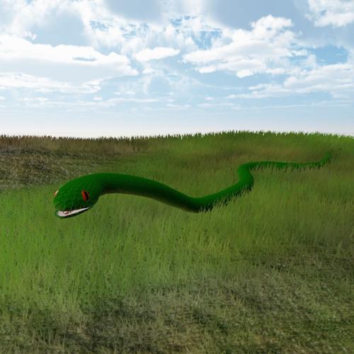 Snake in the grass