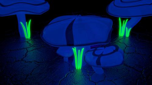 Glowing Mushrooms