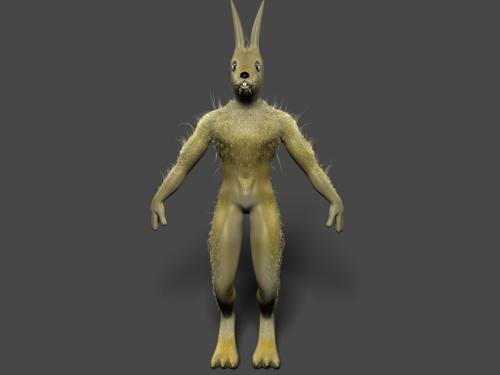 Rabbit Rig