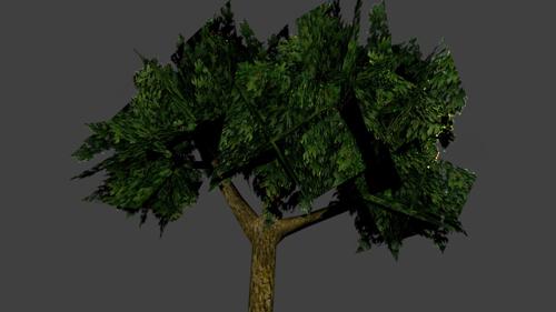 Tree low poly