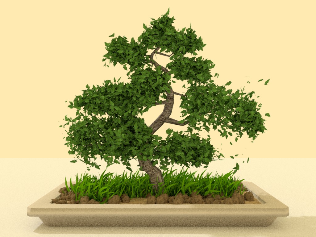 Bonsai Tree