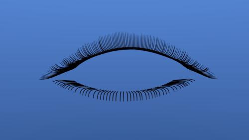 Eyelashes