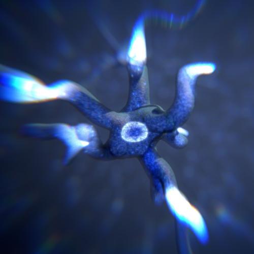 The Mind - Production Files