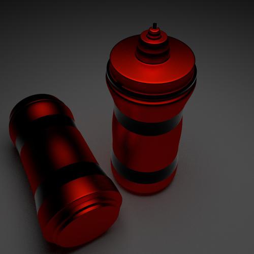Sport Bottles