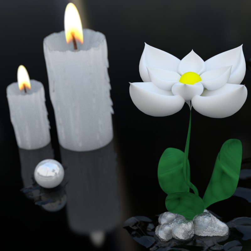 Flowers and Candles
