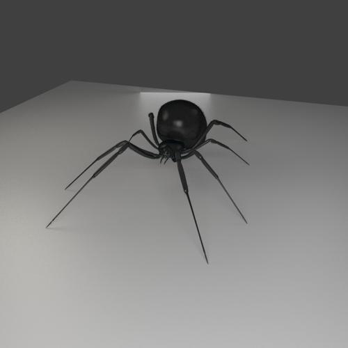 Black Widow Spider Cycles