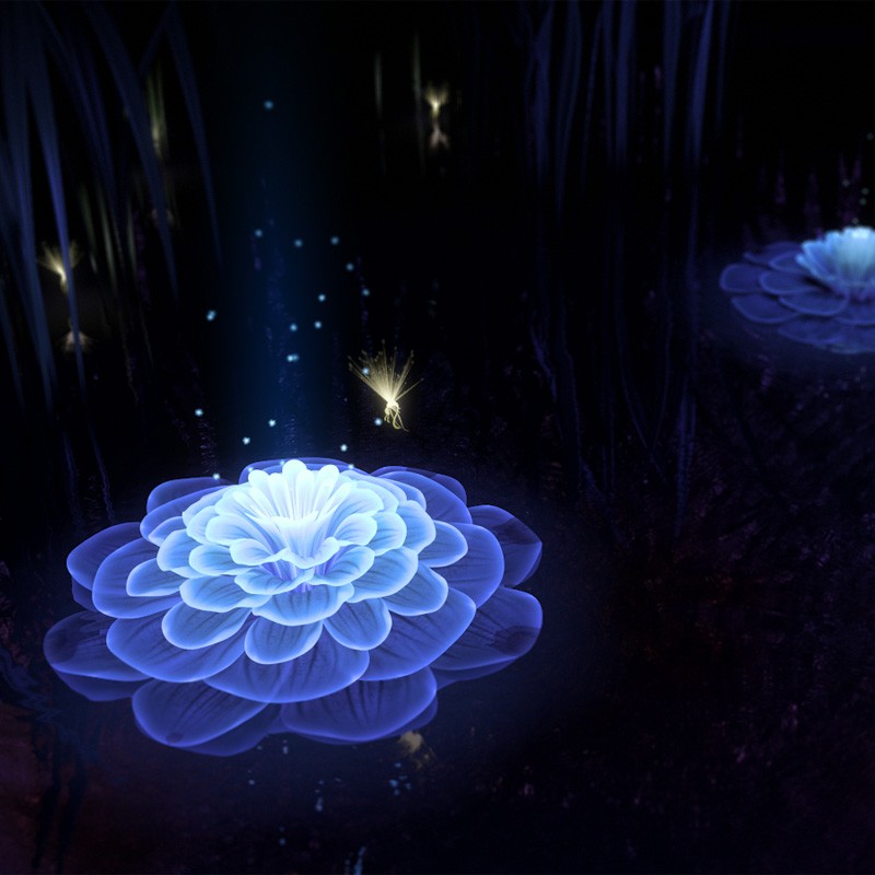 Bloom