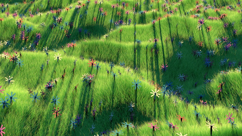 Path of Flowers