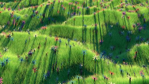 Path of Flowers