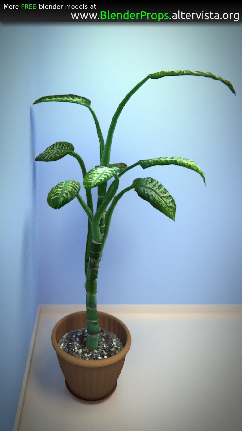 Interior Plant with Flowerpot