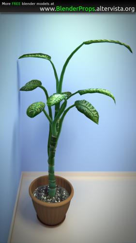 Interior Plant with Flowerpot
