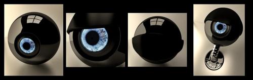 Eye-WebCam