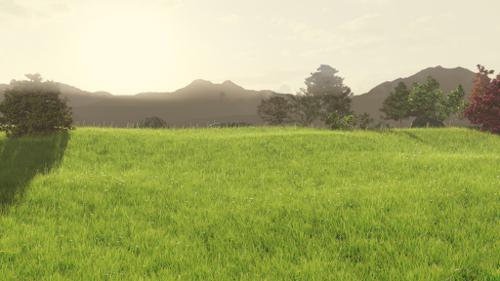 Grass Field