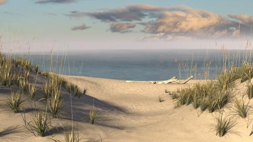 Beach Scene