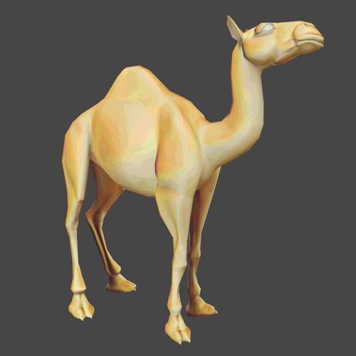 Camel