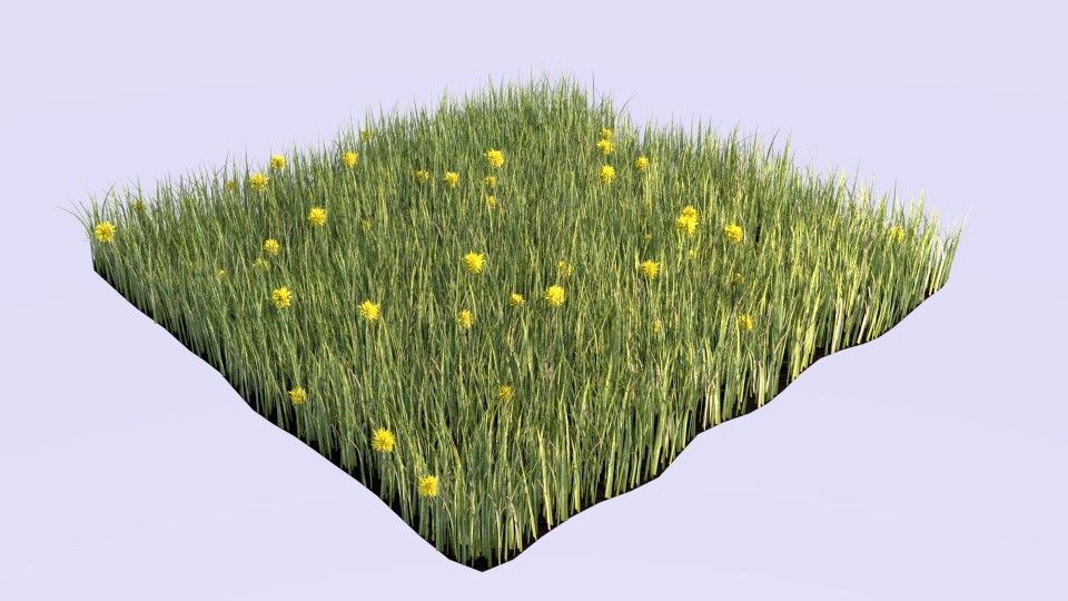 Cycles Grass & Dandelions