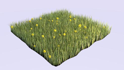 Cycles Grass & Dandelions
