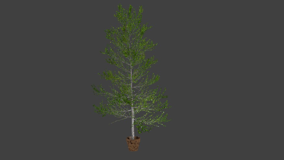 A Tree