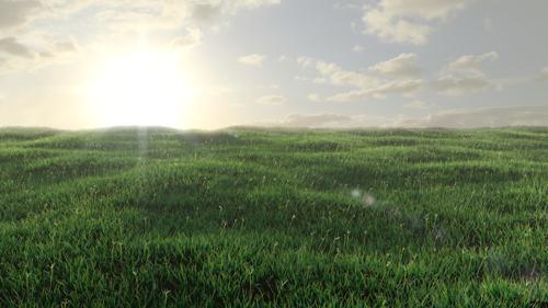 Realistic Grass