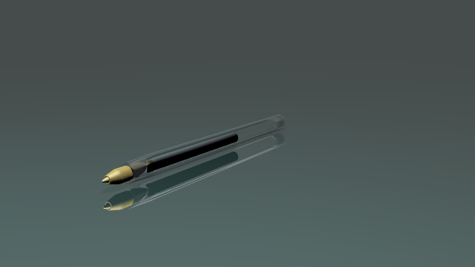 Bic Pen
