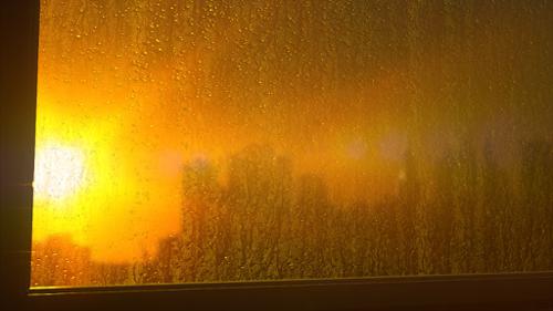 Foggy Window