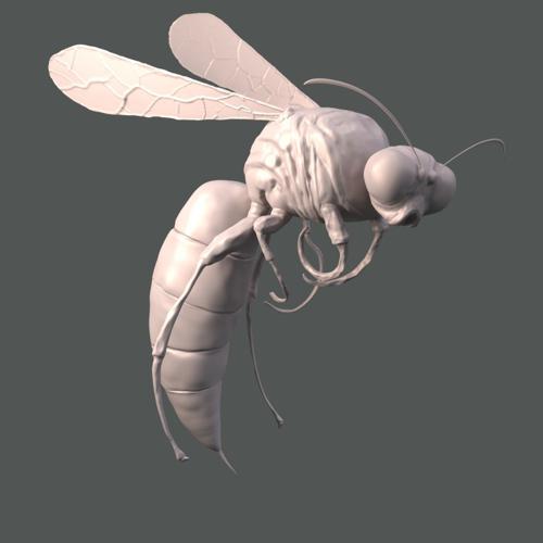 Wasp Sculpt