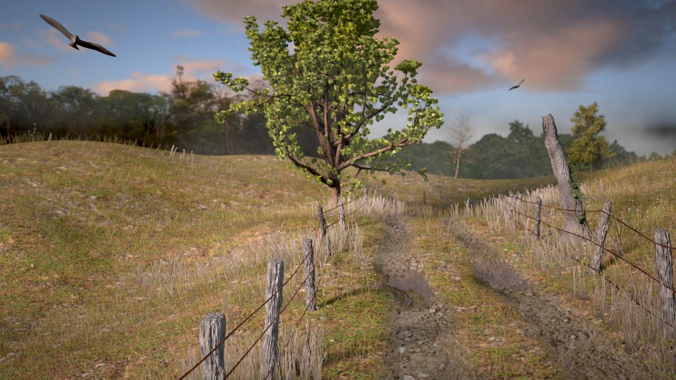 Early Morning on a Country Road