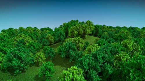 green trees