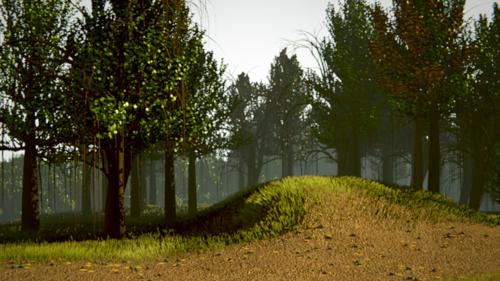 Outdoor walkway