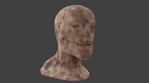 Zombie Head Sculpt