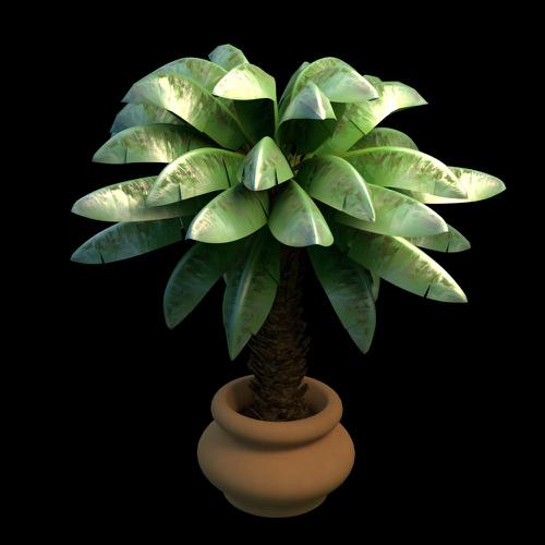 Banana Tree