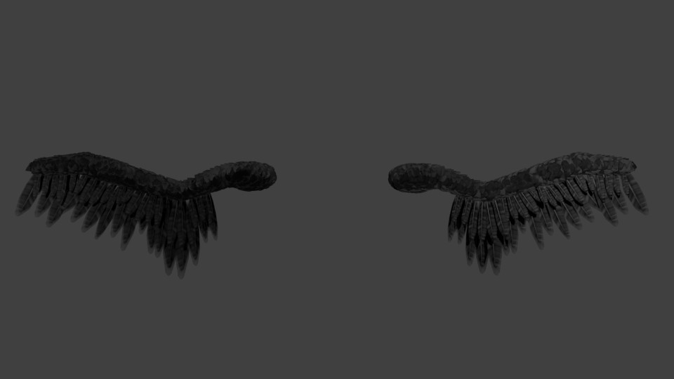 Feathery Wings