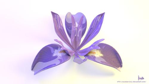 Glossy Iris Sanguinea