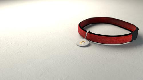 Cat/Dog Collar