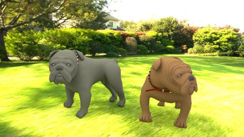 Bulldog