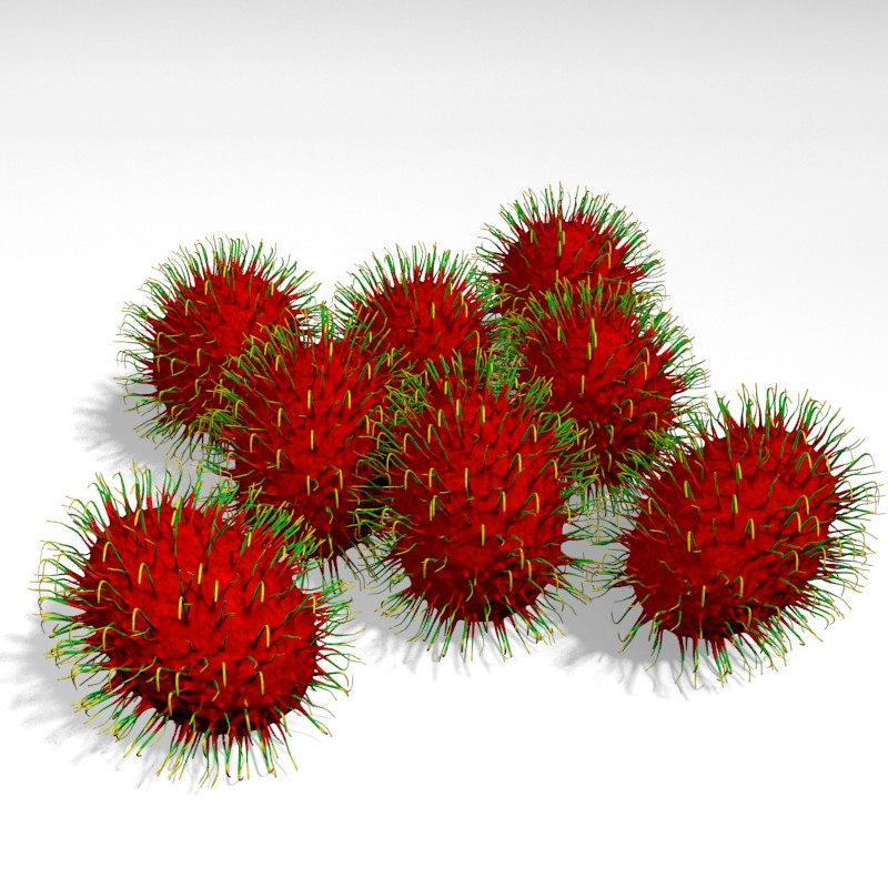 Rambutan