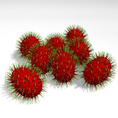Rambutan