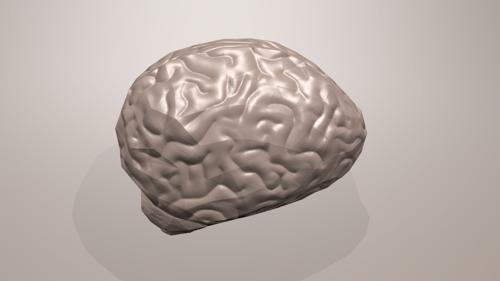 Brain Low Poly